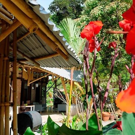 Bamboo Cottage Langkawi 珍南海滩 外观 照片